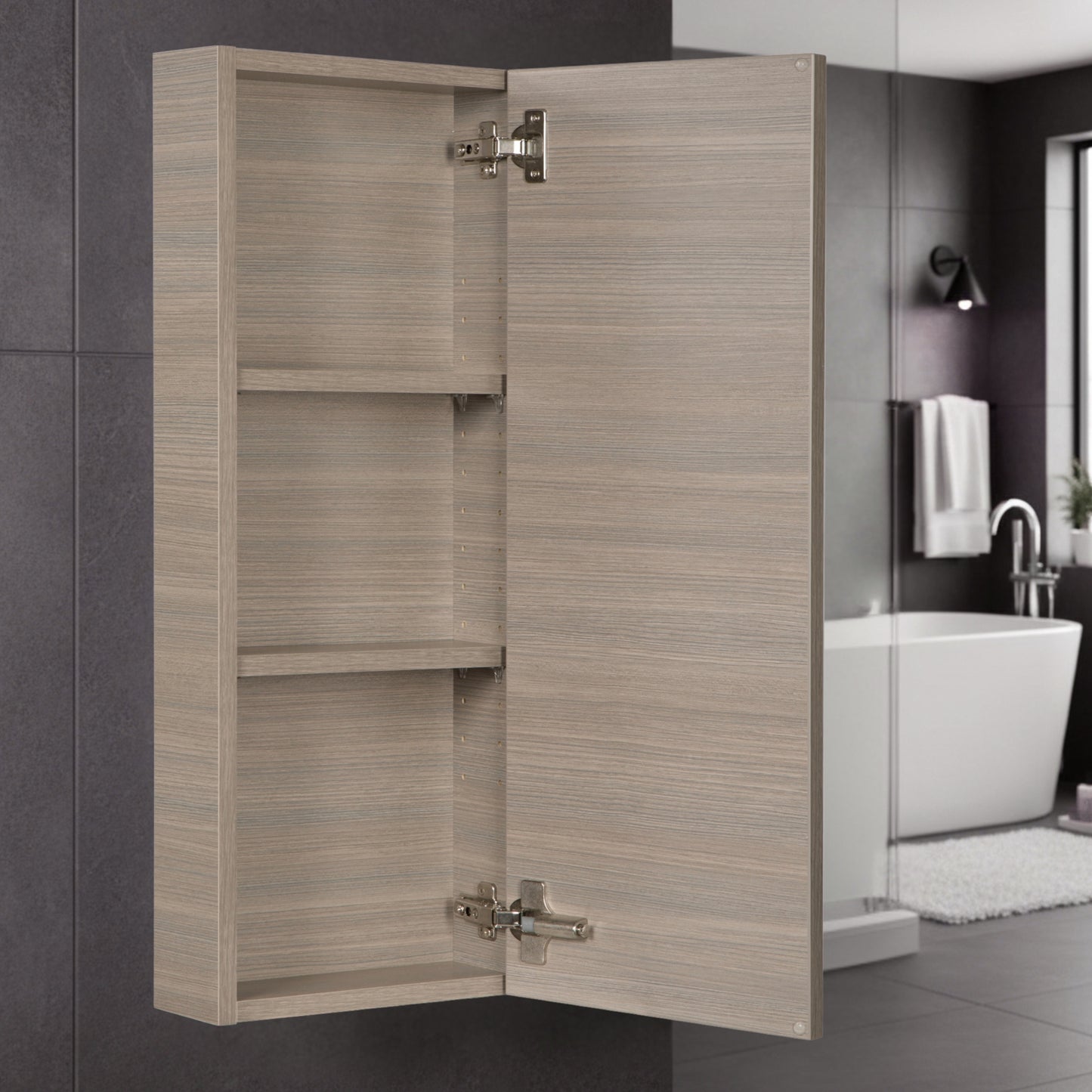 Silhouette 12" W x 30" H Wall Mounted Medicine Cabinet - Aria