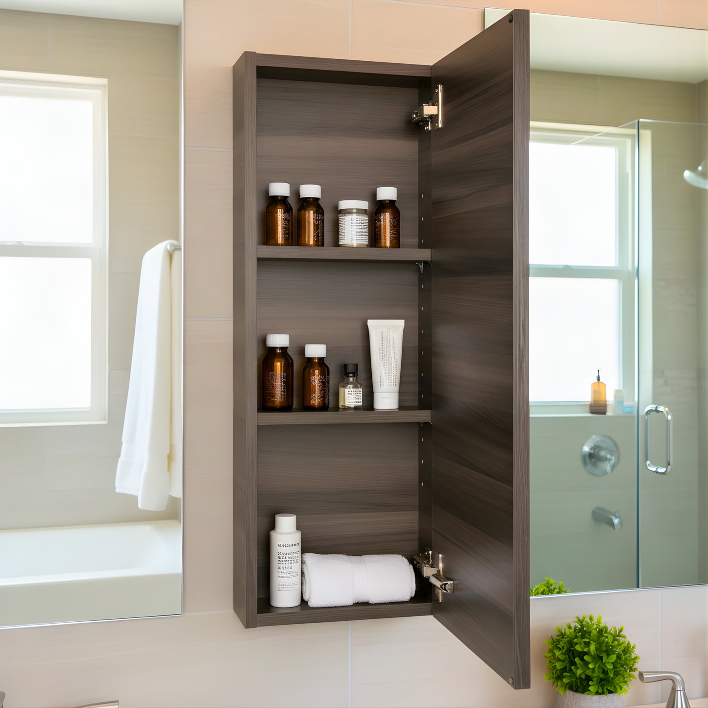 Silhouette 12" W x 30" H Wall Mounted Medicine Cabinet - Zambukka